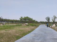 -春花秋色城市公园