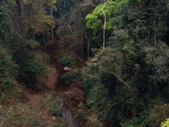 -野象谷景区