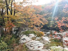 -光雾山旅游景区
