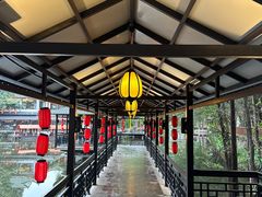 -侨美·唐荔园·40年地道粤菜