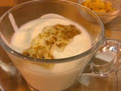 -东方饺子王(新阳路店)