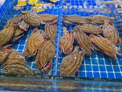-阿明小菜·海鲜·上海菜(梅陇店)