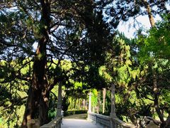 -叶家花园