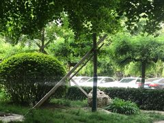 -中国中医科学院针灸医院