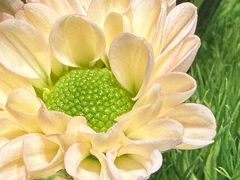 -南堂馆·新川菜(春熙路店)