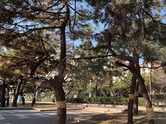 -青岛海景花园大酒店