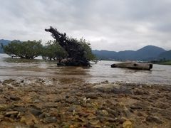 -坝光海滩