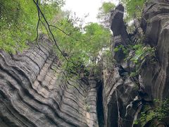 -梭布垭石林景区