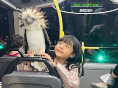 -新加坡飞禽公园