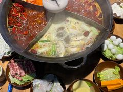 -白乐天毛肚火锅馆(南滨路店)