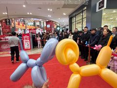 -杉杉奥特莱斯广场(哈尔滨店)