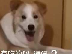 -冰城小镇音乐串吧·聚会餐厅(百子湾店)