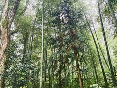 -听风阁农家私房菜茶楼(龙坞店)