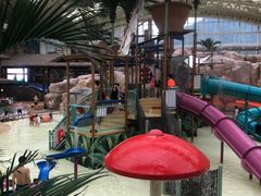 -杭州开元森泊度假乐园