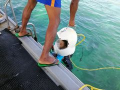 -东姑阿都拉曼海洋公园