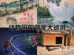 -郑州银基国际旅游度假区