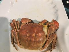 -十八棵（老龙井）御茶园(老龙井店)