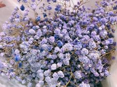 -循礼门鲜花花市(武汉循礼门店)