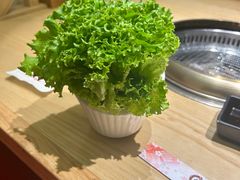 -松鱼亭·和牛烧肉(协鑫广场店)
