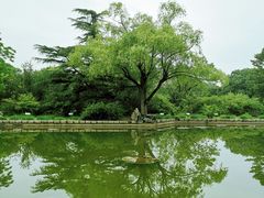 -国家植物园南园