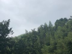 -百杖潭景区