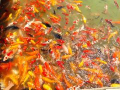 -泰安地下龙宫景区