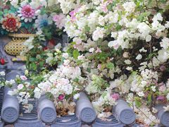 -深圳国际园林花卉博览园