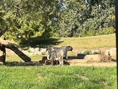 -北京野生动物园