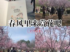 -堤角公园