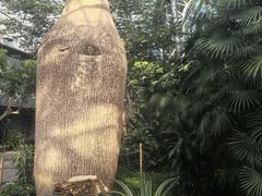 -北京植物园-展览温室