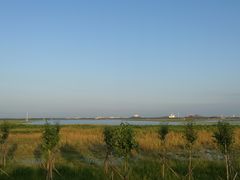 -呼兰河口湿地公园