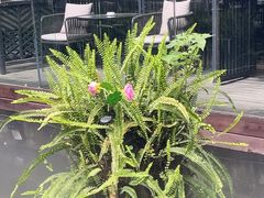 -大妙火锅·非物质文化遗产(东湖公园店)