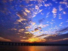 -宝安西湾红树林湿地公园