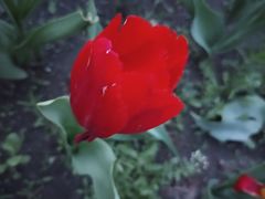 -长春公园(普阳街道)