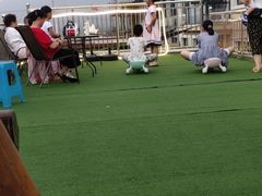 -晨汐石苑·清真菜农家院