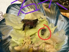 -仓桥家·焗寿司·锅物(光谷步行街店)