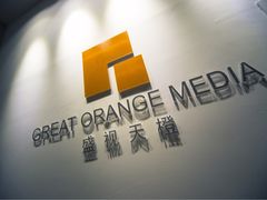 -上海盛视天橙传媒股份有限公司