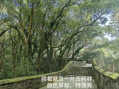 -台州府城(江南长城)