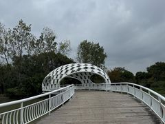 -同里国家湿地公园