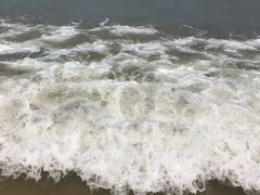 -渔寮风景区