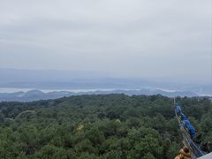 -铁山坪森林公园