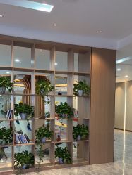 -碧莲盛·不剃发植发