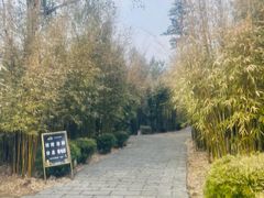 -崇阳三特浪口温泉