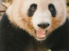 -杭州动物园