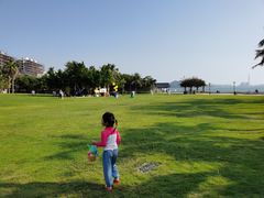 -采粤轩中餐厅(惠州金海湾喜来登度假酒店)