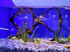 -上海海洋水族馆