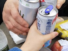 -大金鹰园