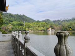 -深圳仙湖植物园
