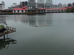 -君豪蟹都·湖景·农家乐(蟹舫苑店)