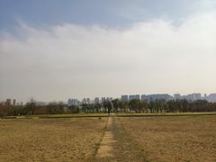 -汉长安城未央宫国家考古遗址公园